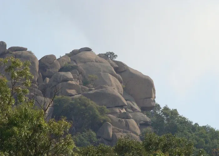 Sveti Dimitar Primorsko